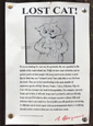 Lost Cat Notice